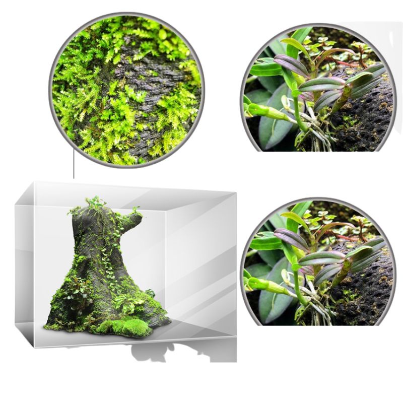 Lưới giữ ẩm bán cạn, lưới làm tường rêu terrarium (Vải Hygrolon) dày 3mm