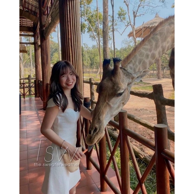 VÁY LEN TĂM BODY CỔ VUÔNG