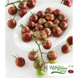 Gói 30 hạt giống cà chua socola LINH NGOC