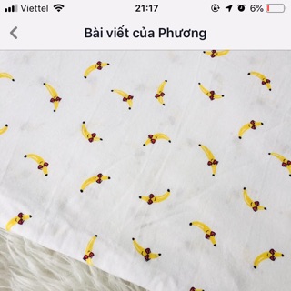 Set vải cotton trịnh dịu