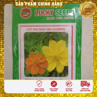 Hạt Giống Hoa Cúc Sao Nháy mix(100 hạt)