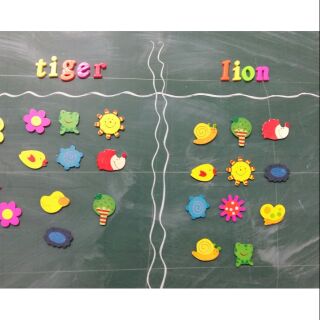 Combo bộ nam châm hình các sinh vật