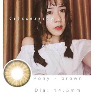 Mini Pony Brown
