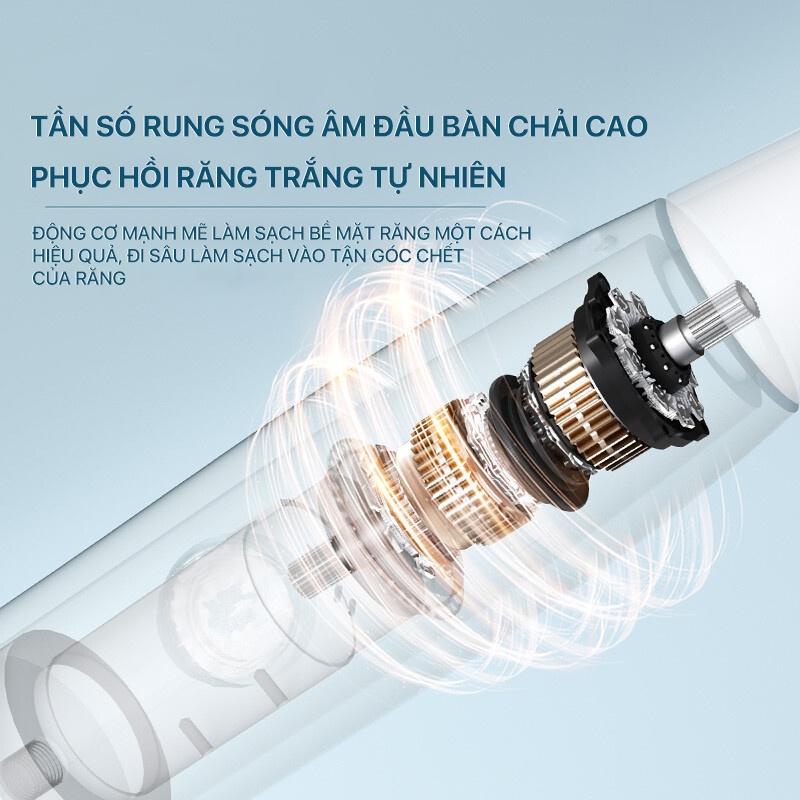 Bàn Chải Điện Bomidi T501 Công Nghệ Sóng Âm máy đánh răng tự động 3 chế độ Làm sạch mảng bám hiệu quả - Minh Tín Shop
