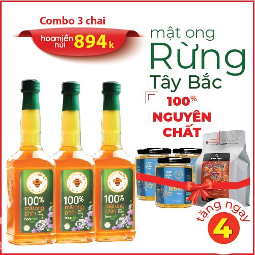 Combo 3 chai Mật ong nguyên chất Hoa Miền Núi 630g tặng 3 hũ 360g+1 túi cà phê rang xay nguyên chất Bandon Focus 250g