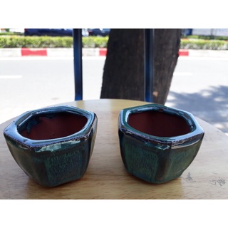 Chậu trồng cây mini