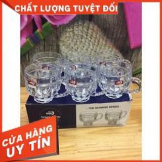 Bộ 6 cốc thủy tinh có quai