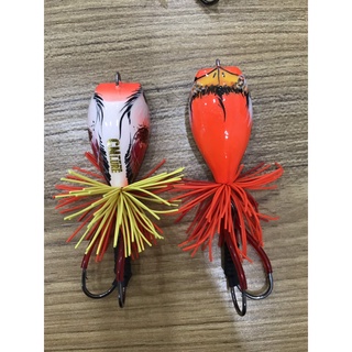 nhái gỗ câu cá ( nhái nhảy bulls )