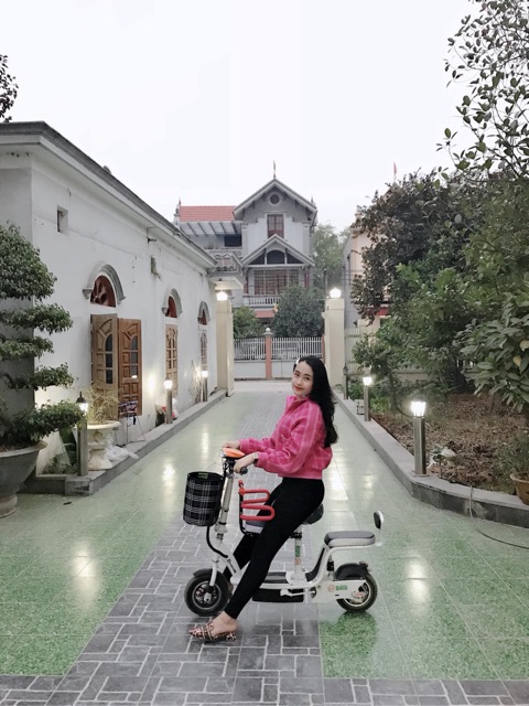 Xe Điện Mini Scooter MiBike M250 Plus - Hàng chính hãng