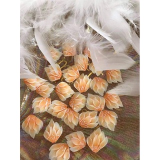 combo 20 hoa bột hoa chân