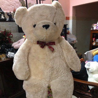 Đơn hang 400k cua chi hang