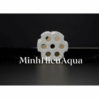 Sứ củ sen Mountain Tree Root 3 dành cho cá biển