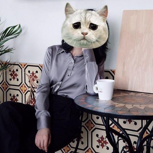 Sơ mi lụa mới