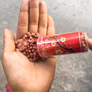 Combo 4 lọ omai tuổi thơ