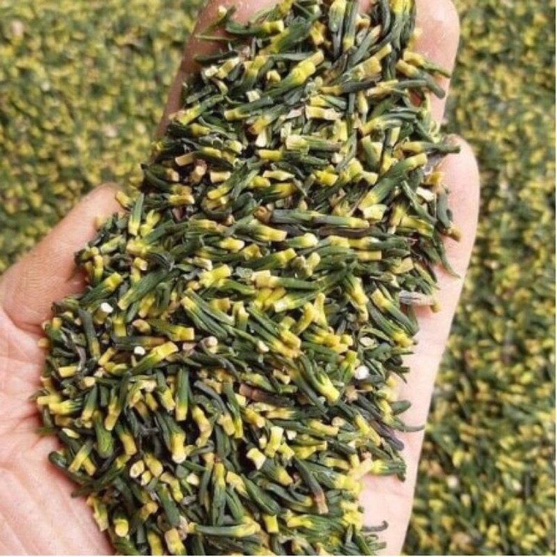Tâm Sen sấy khô loại chuẩn 100g