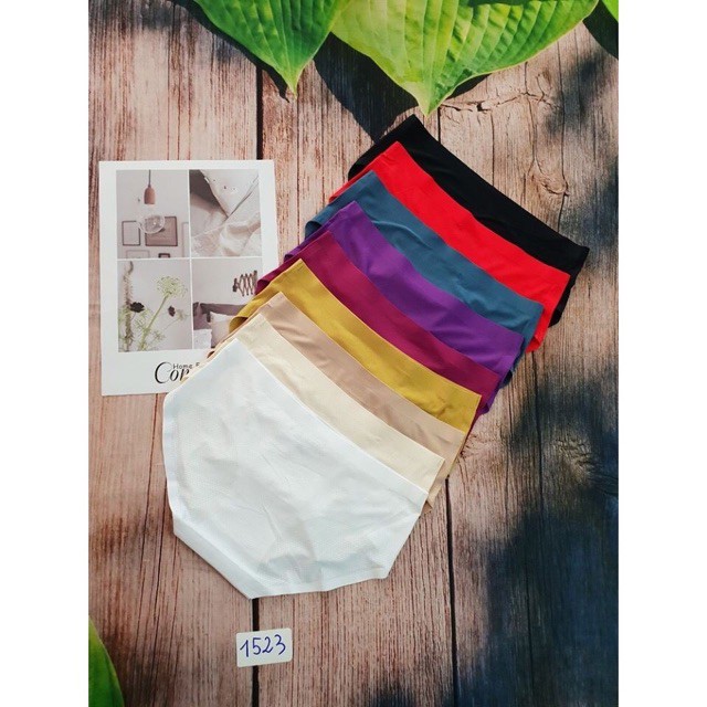 Quần Lót Đúc Su Thông Hơi Loại 1 ( 1523-1524) giá tốt