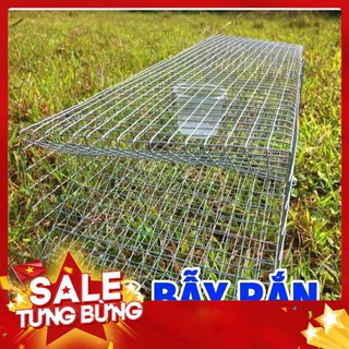Lồng bẫy rắn thông minh