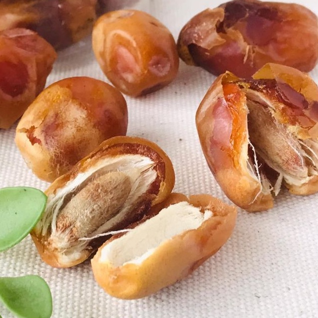 500g Chà Là Rời IRan💥FREESHIP💥Loại 1 chất lượng