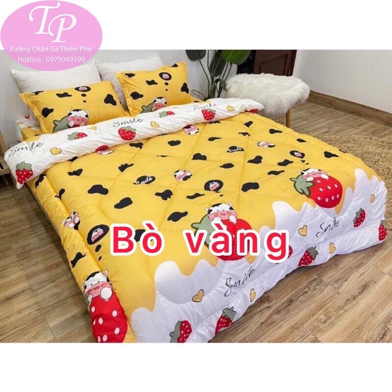 Bộ Chăn Ga Gối 5 Món 1m6/1m8/2m2 Chất Liệu Coton Poly Chăn Phao Dày Dặn