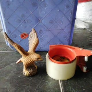 Đại bàng