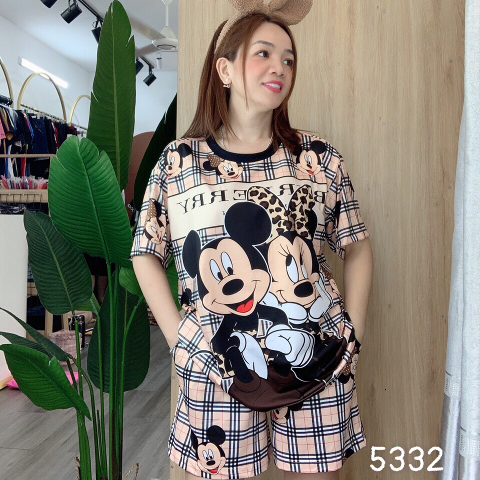 Đồ Bộ short BIG SIZE 3D  Mic BBR - SS.T3D - 5332
