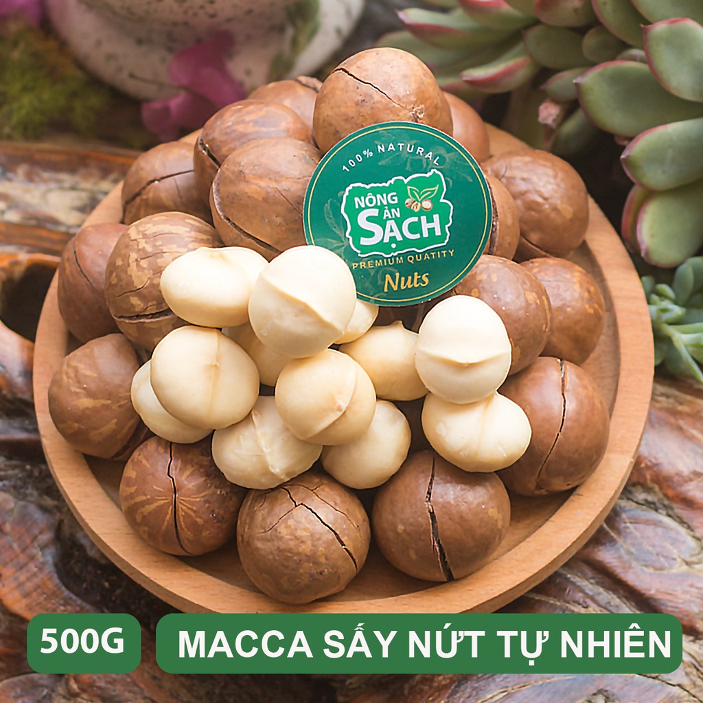 500g Hạt Macca Sạch Di Linh Lâm Đồng size VIP