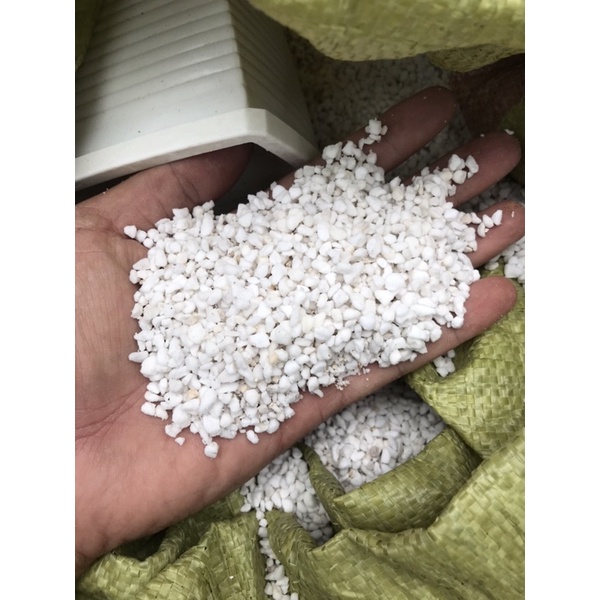 Đá perlite túi nhỏ