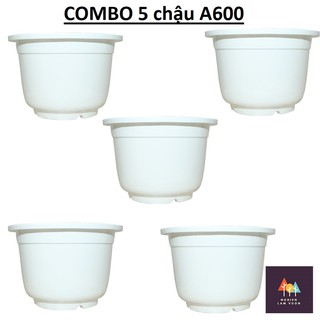 5 chậu nhựa tròn trắng cỡ lớn trồng hoa mã CN02X5A600 hàng dày đẹp kt 44x30cm