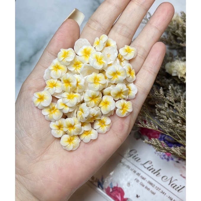 Hoa bột nail gắn móng tay | Hoa đậu vẽ ( set 2 bông/ 10 bông )
