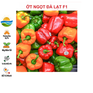 Hạt giống ớt ngọt nhiều màu 20 hạt