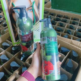 CẶP DẦU GỘI BƯỞI GRAPEFRUIT