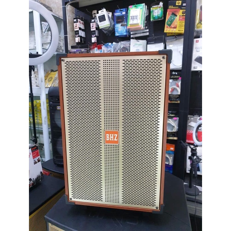 Loa kéo di động Karaoke Nanomax S-10D thùng gỗ, tặng kèm 2 micrro không dây âm thanh cực hay, giá rẻ