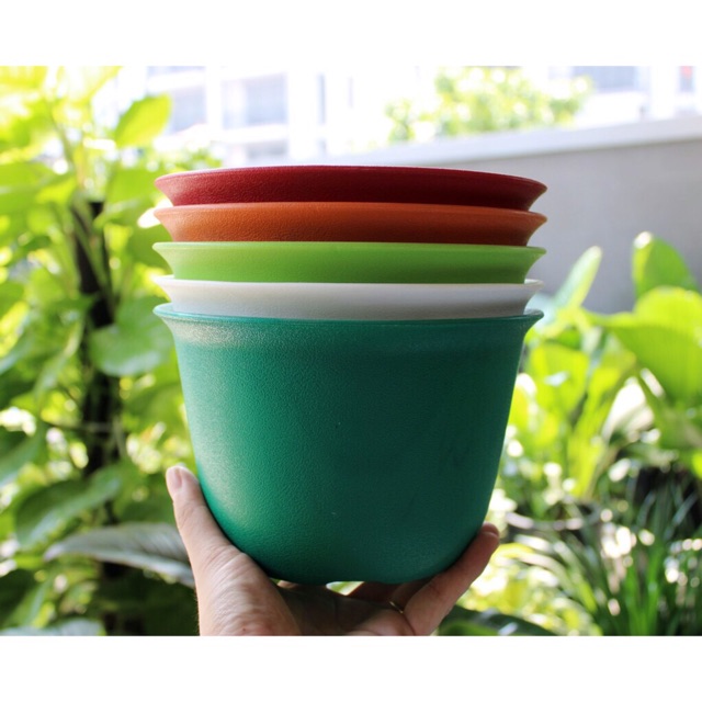 Chậu nhựa trồng cây- chậu tròn vành 20cm, 25cm