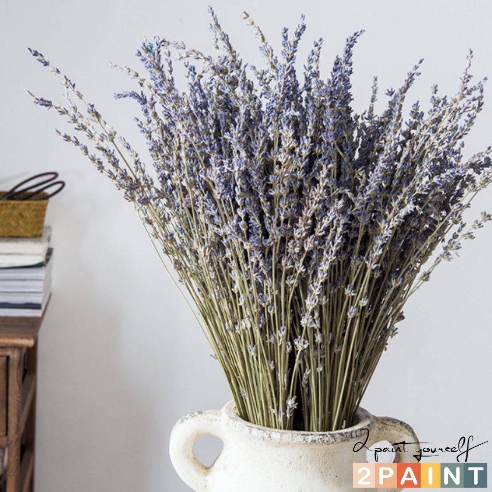 Bó 30 cành hoa lavender thơm ngát - Hoa khô oải hương trang trí handmade (cắm đươc 1 lọ thủy tinh để bàn)