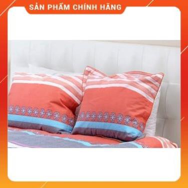 Combo 2 Vỏ gối đầu GI Hanvico 45x65cm