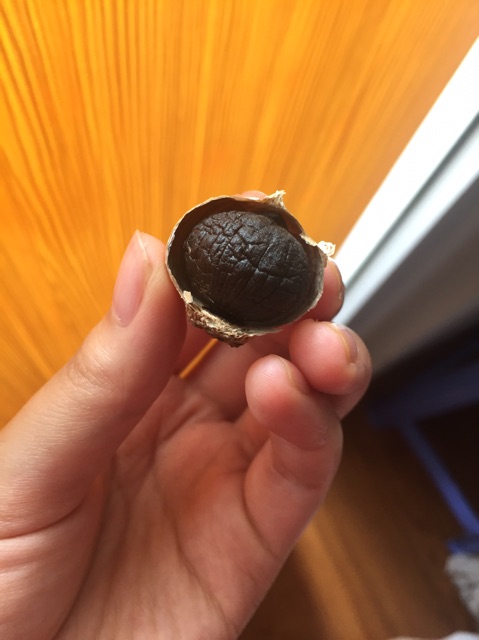 [RẺ VÔ ĐỊCH] 500gram Tỏi đen 1 nhánh công nghệ Nhật Bản | BigBuy360 - bigbuy360.vn