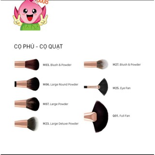 Cọ Phủ - Cọ quạt Vacosi