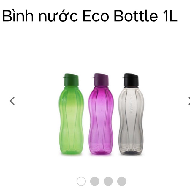 Bình nước eco bottle 90ml 310ml 500ml 1L 1.5L tupperware