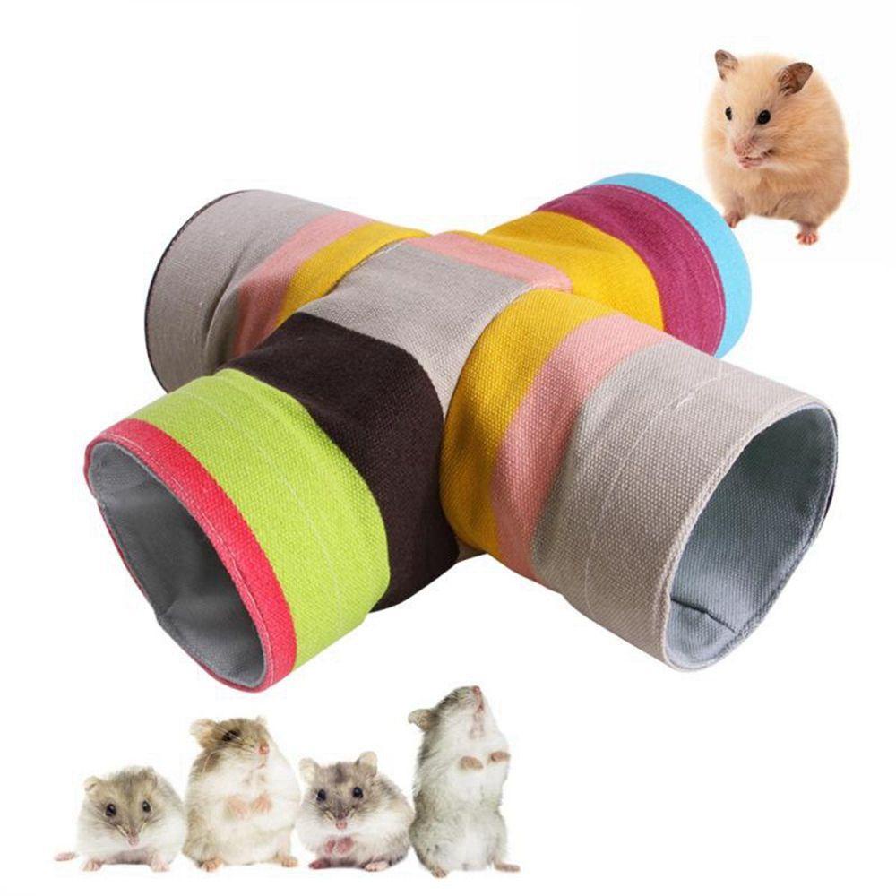 Đường Hầm Mini Cho Thú Cưng Nhỏ Xinh Xắn