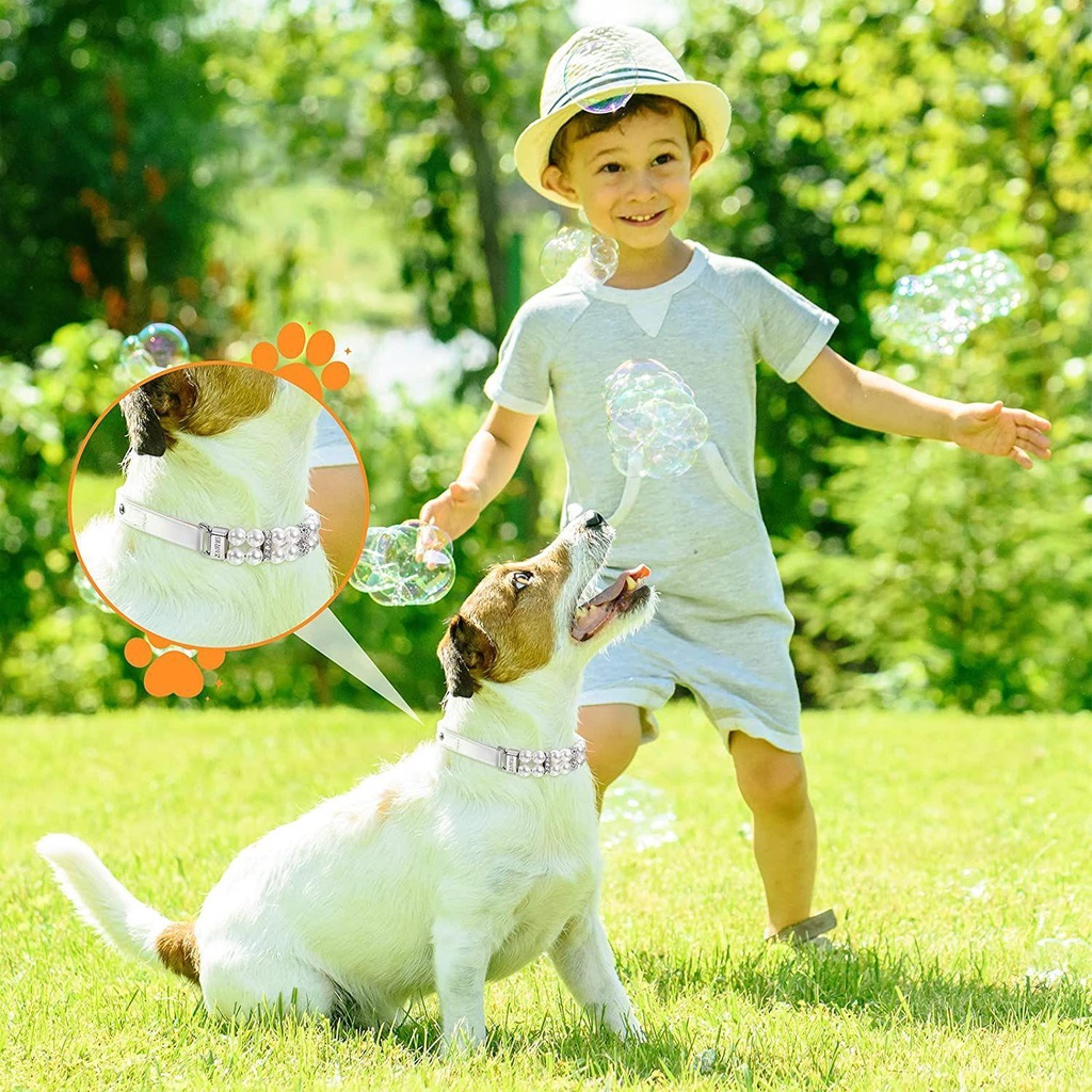 Vòng Cổ Chó DAPHS Da Mèo|Dây Đeo Cổ Hình Mèo Đáng Yêu