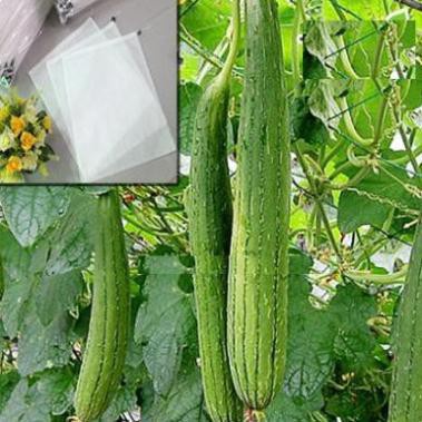 (Siêu rẻ) 10 Túi bọc Mướp 15cmx60cm bằng vải không dệt - Chuyên dùng bọc trái bầu, trái mướp, trái bí đao hàng chất đẹp