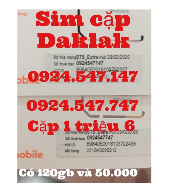 Sim cặp phong thủy