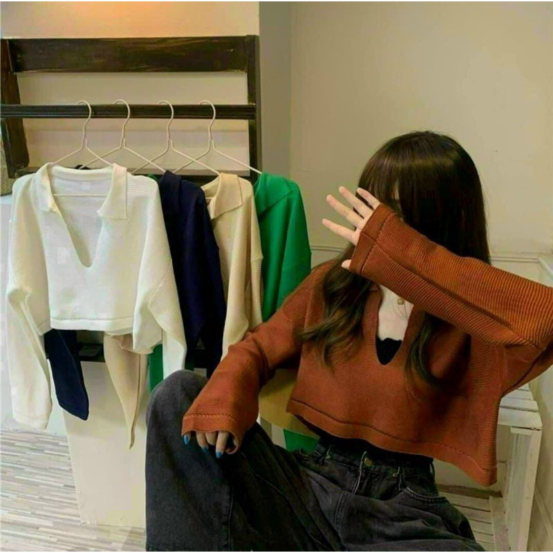 Áo thun croptop tay dài cổ bẻ V Lai(A15