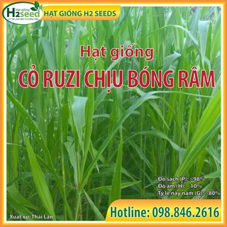 Hạt Giống Cỏ Ruzi Chịu Bóng Râm - Gói 200g - Hạt Giống Cỏ xả Giàu Dinh Dưỡng Cho Chăn Nuôi Bò, Dê, Cừu, Thỏ, Cá...