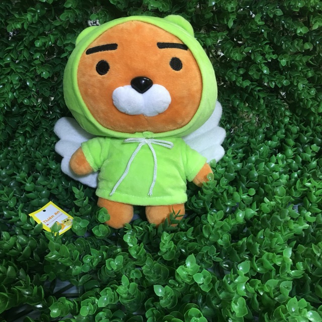 Combo gấu bông túi c thanh tita