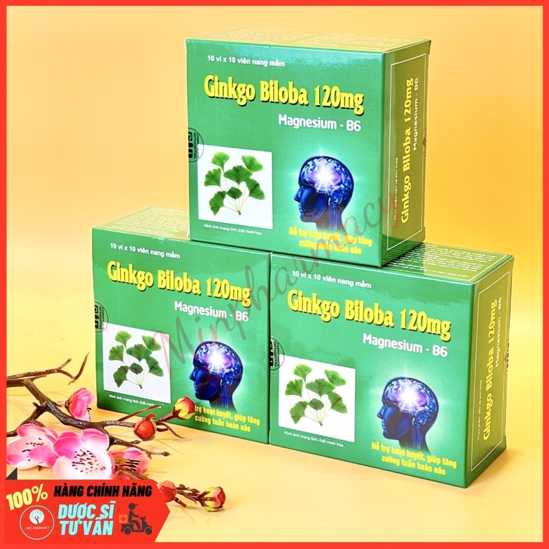 Viên nang Ginkgo Biloba 120mg &amp; Magnesium-B6 Hỗ trợ hoạt huyết, tăng cường tuần hoàn não Hộp 100 viên - Minpharmacy
