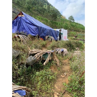 mật ong bạc hà nguyên chất