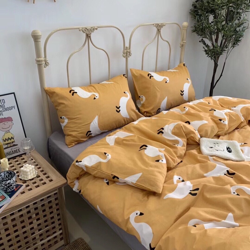 Bộ chăn ga gối Cotton living 100% cotton