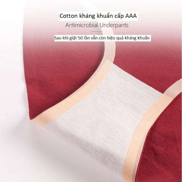 Quần Lót Cotton Kháng Khuẩn Không Đường May Chống Hằn Q05 | WebRaoVat - webraovat.net.vn