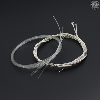 Set 6 Dây Đàn Guitar Mạ Bạc Và Đồng (. 028-.043)